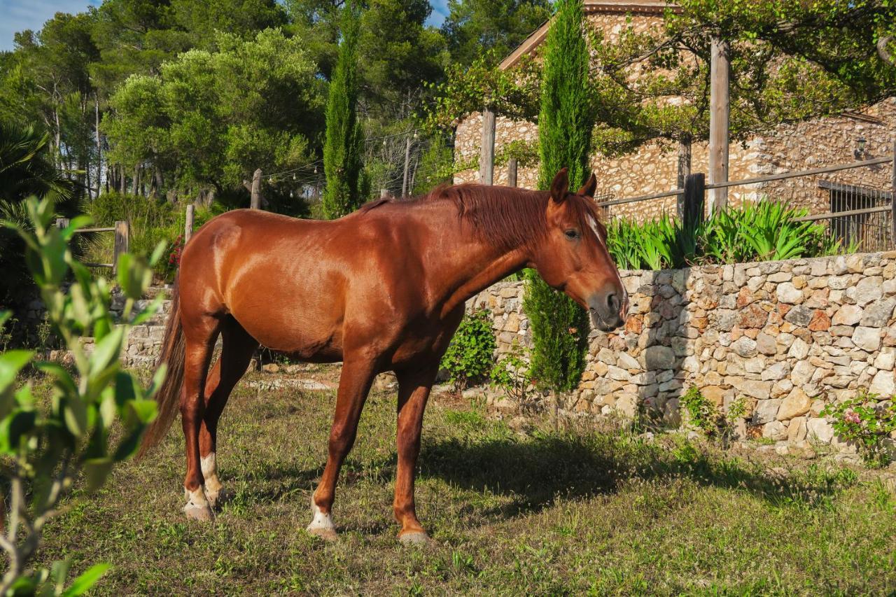 Masia Pou De La Vinya Sitges Eksteriør billede